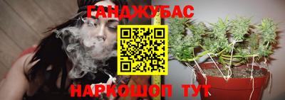спиды Краснознаменск