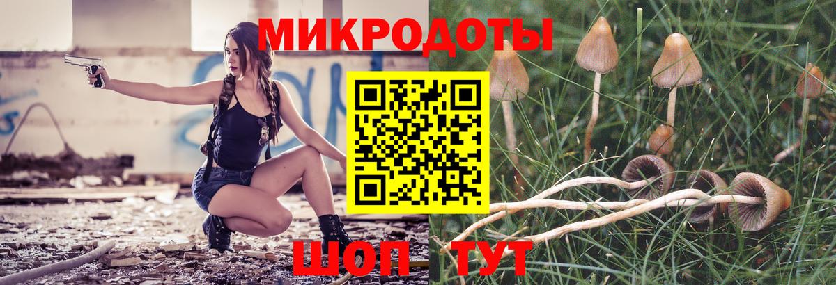 Кизляр  Галлюциногенные грибы прущие грибы  Вход с VPN 
